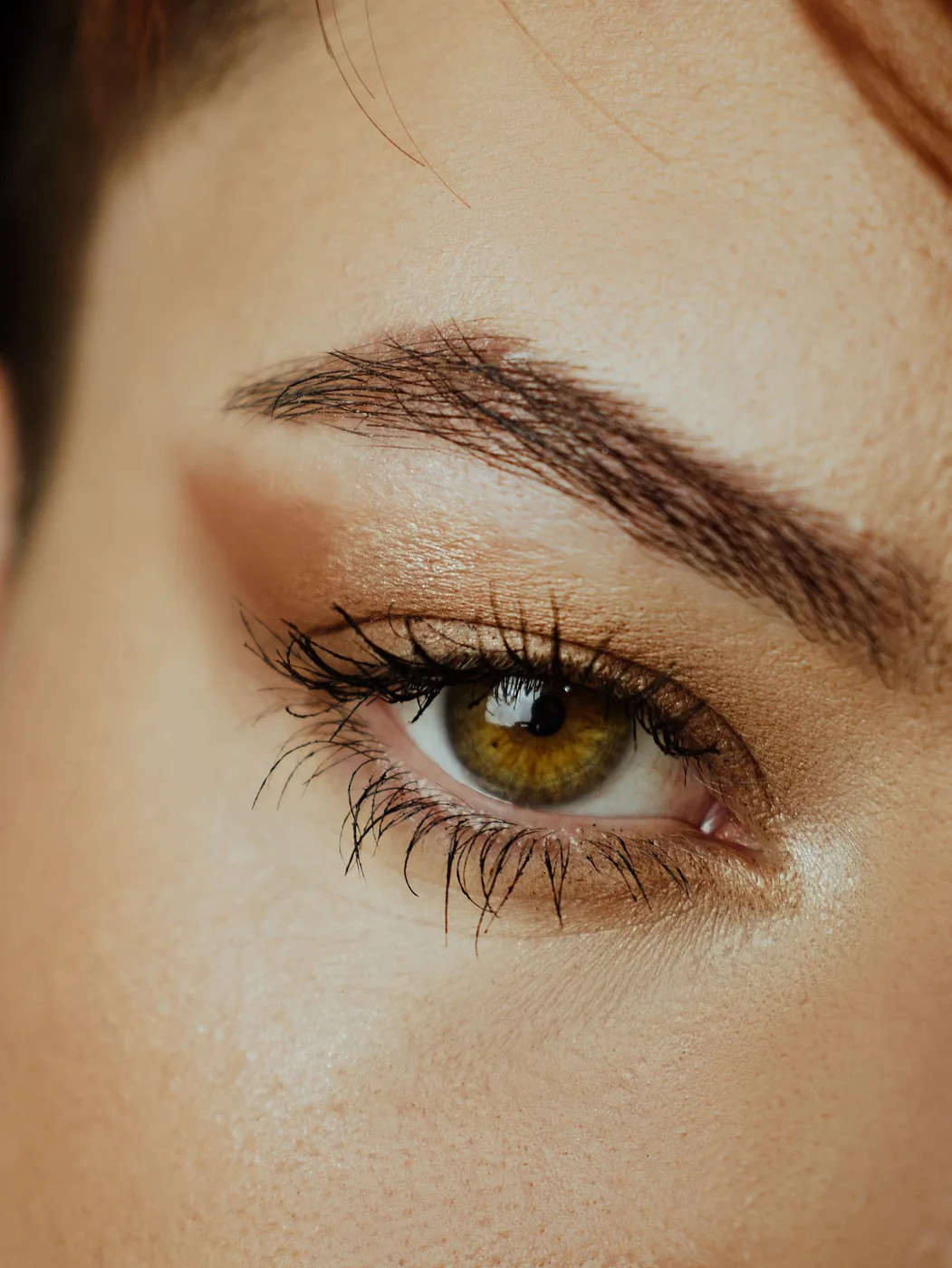 Illustration de la formation Lash lift